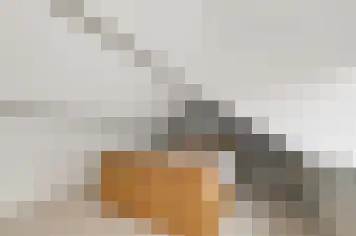 Huis te Veldelaan 21 Maasland thumbnail 38