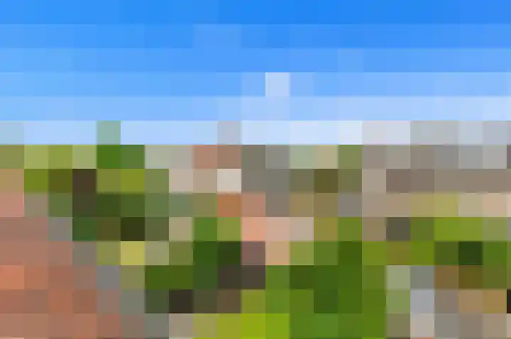 Huis te Veldelaan 21 Maasland thumbnail 42