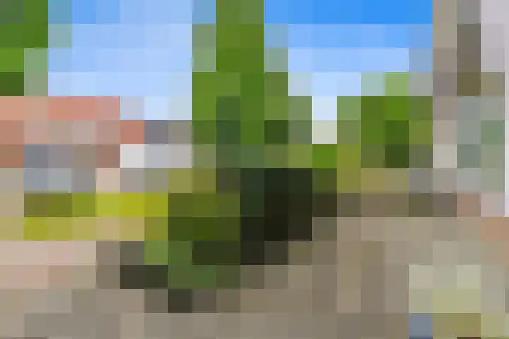Huis te Veldelaan 21 Maasland thumbnail 5