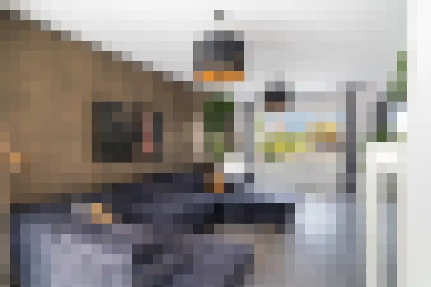 Huis te Veldelaan 27 Maasland thumbnail 17