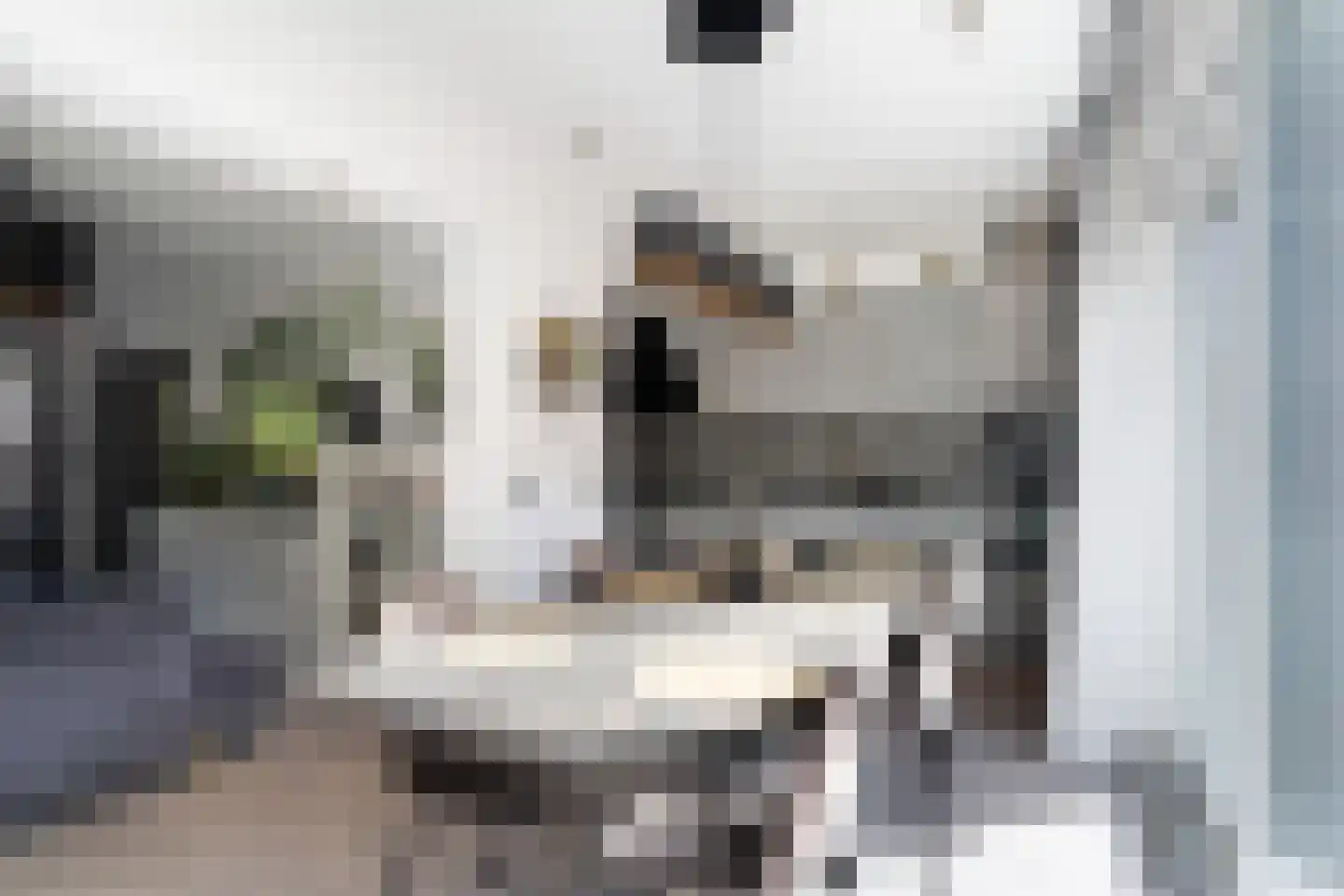 Huis te Veldelaan 27 Maasland thumbnail 19
