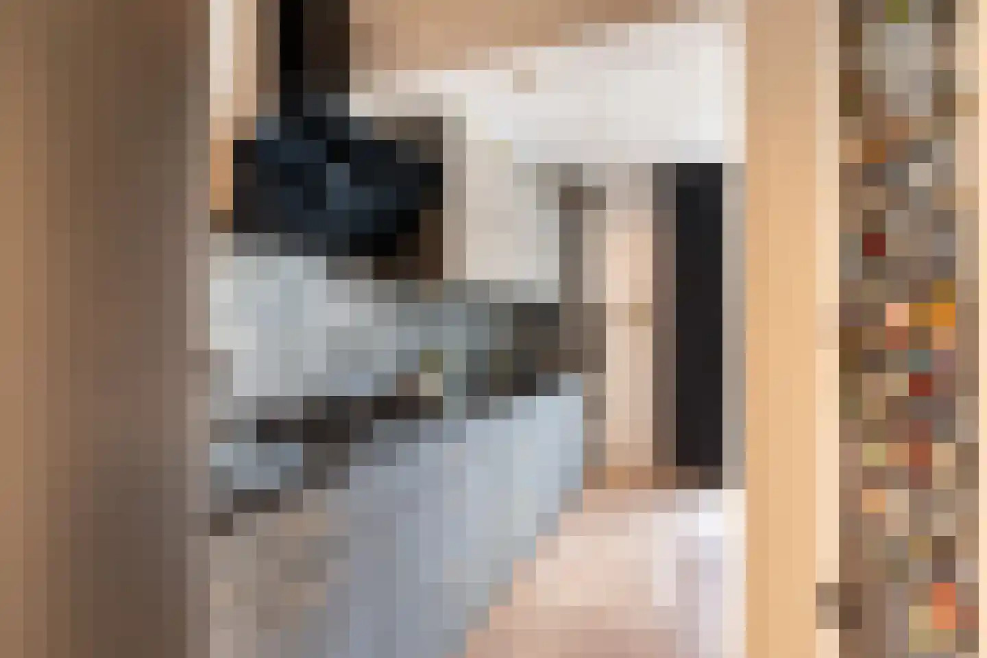 Huis te Veldelaan 27 Maasland thumbnail 22