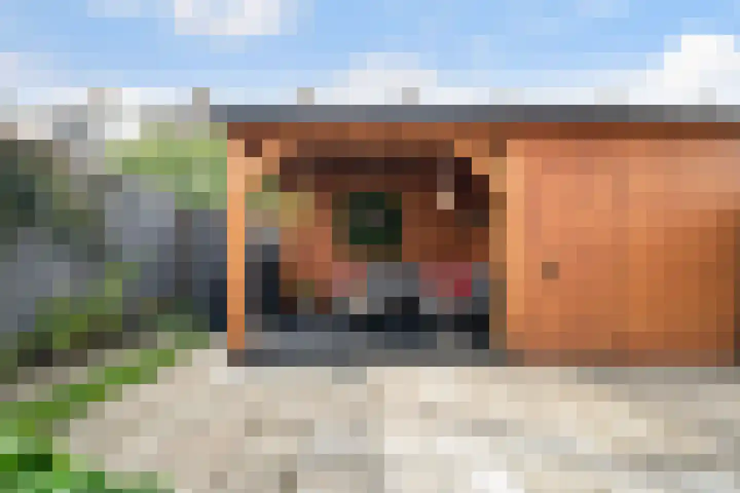 Huis te Veldelaan 27 Maasland thumbnail 28