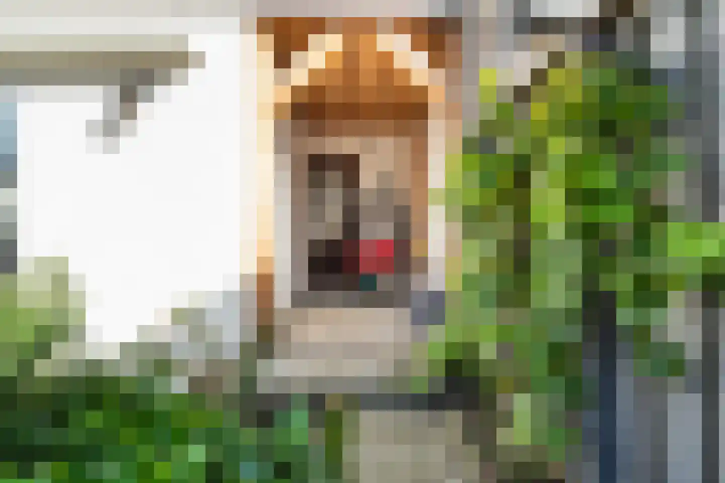 Huis te Veldelaan 27 Maasland thumbnail 31