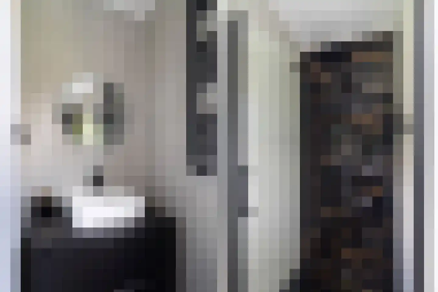 Huis te Veldelaan 27 Maasland thumbnail 45