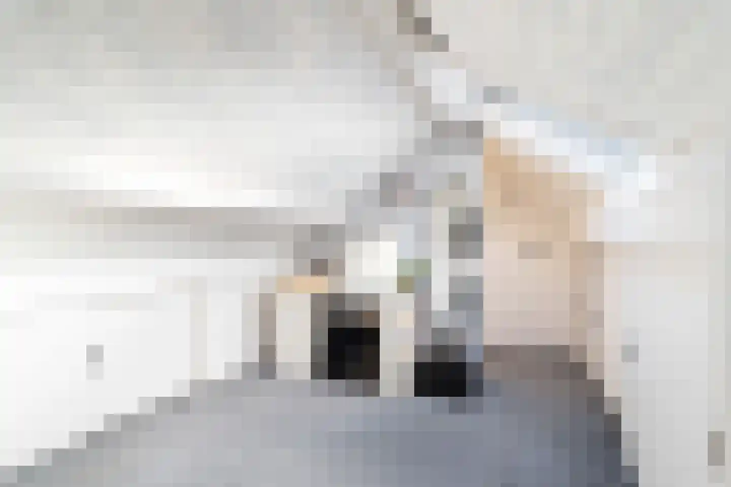 Huis te Veldelaan 27 Maasland thumbnail 46