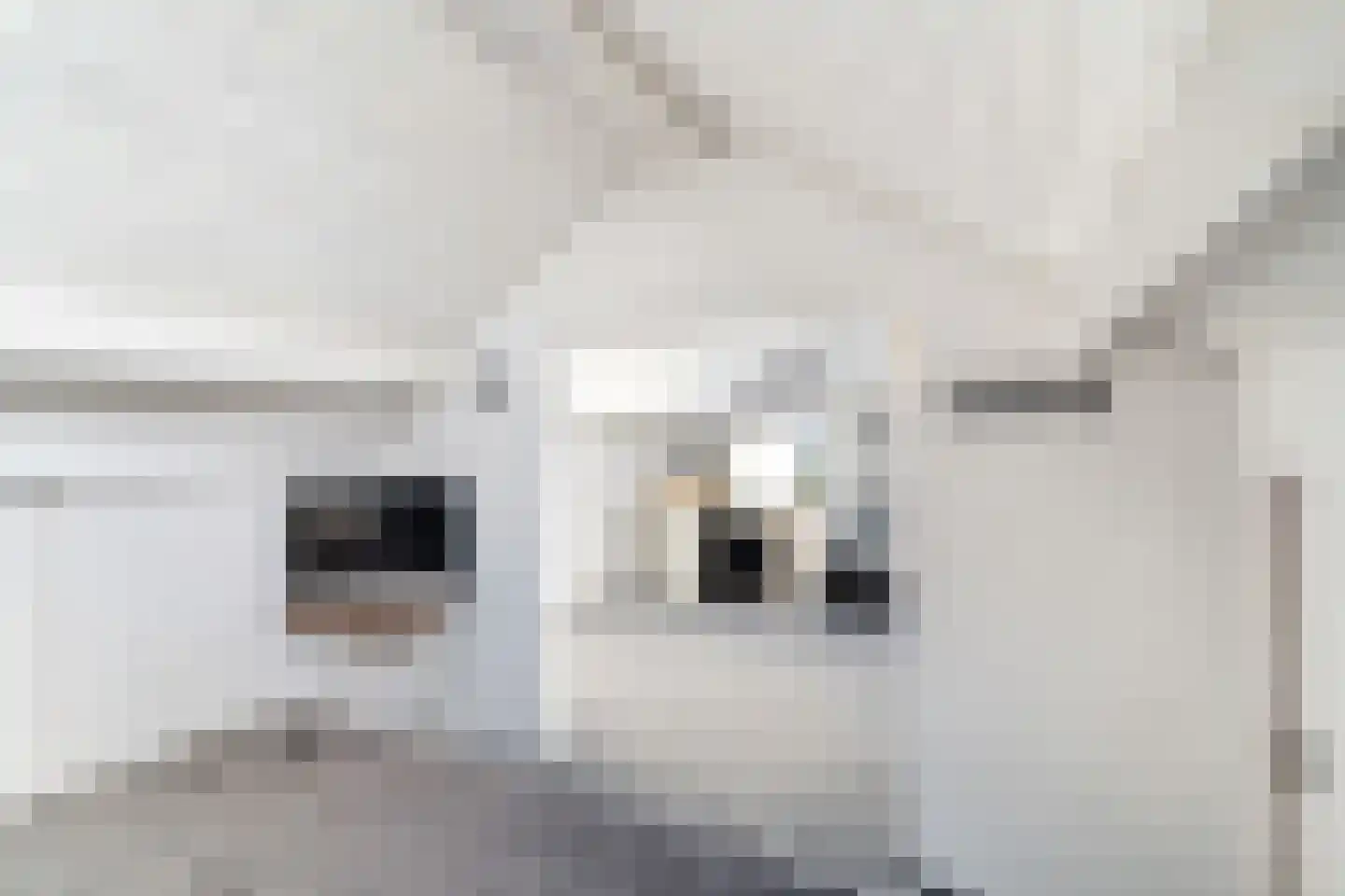 Huis te Veldelaan 27 Maasland thumbnail 47