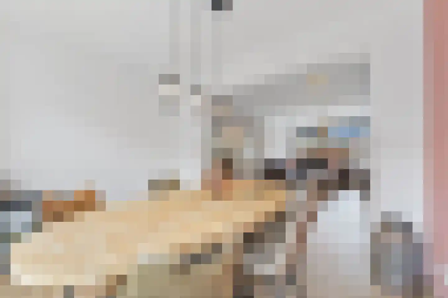 Huis te Veldelaan 29 Maasland thumbnail 12
