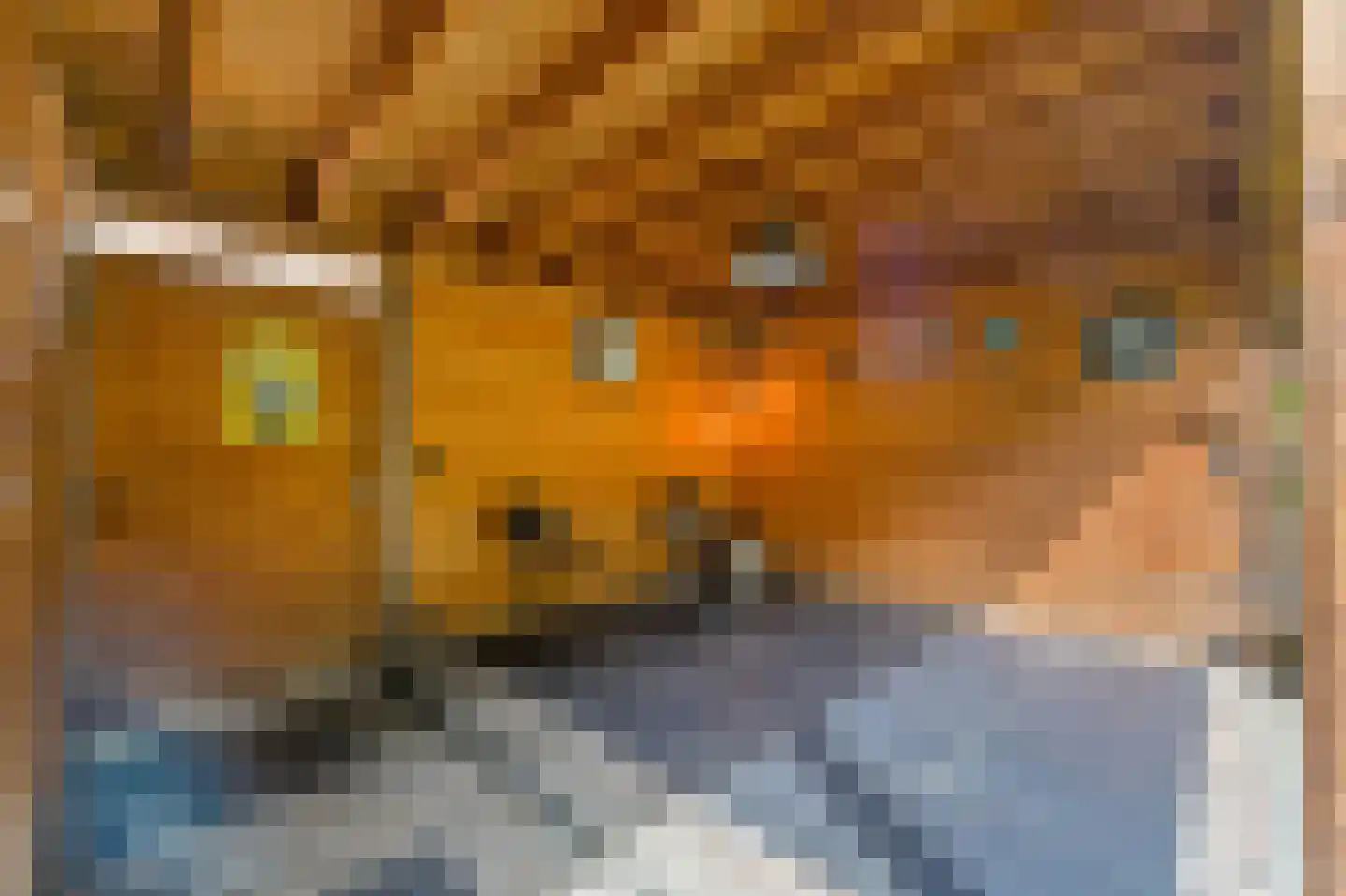 Huis te Veldelaan 49 Maasland thumbnail 15