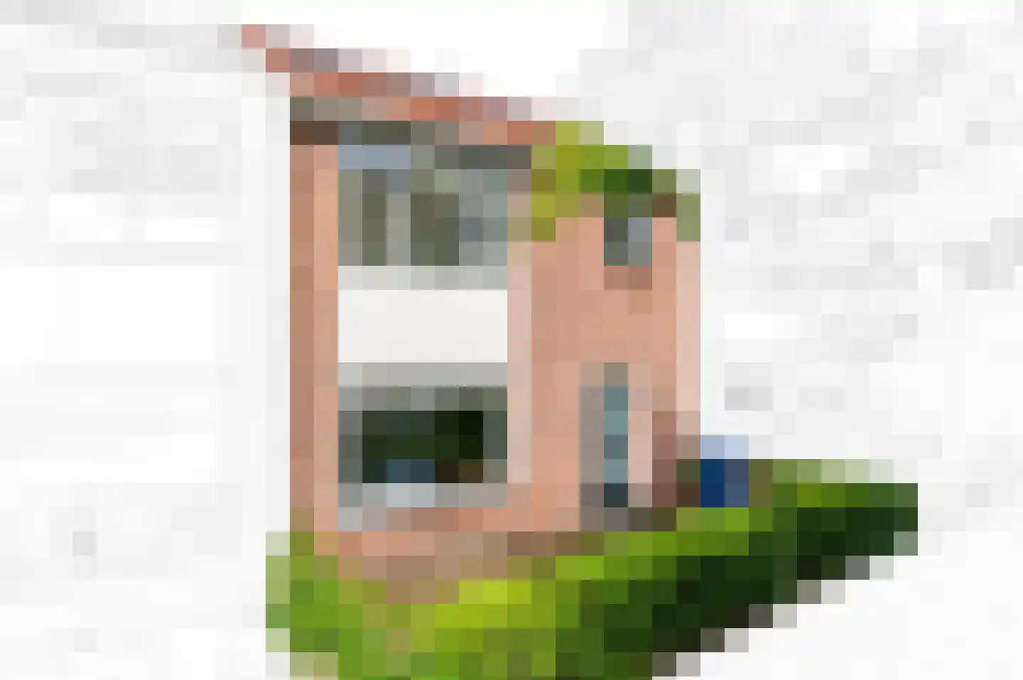 Huis te Veldelaan 49 Maasland foto 2