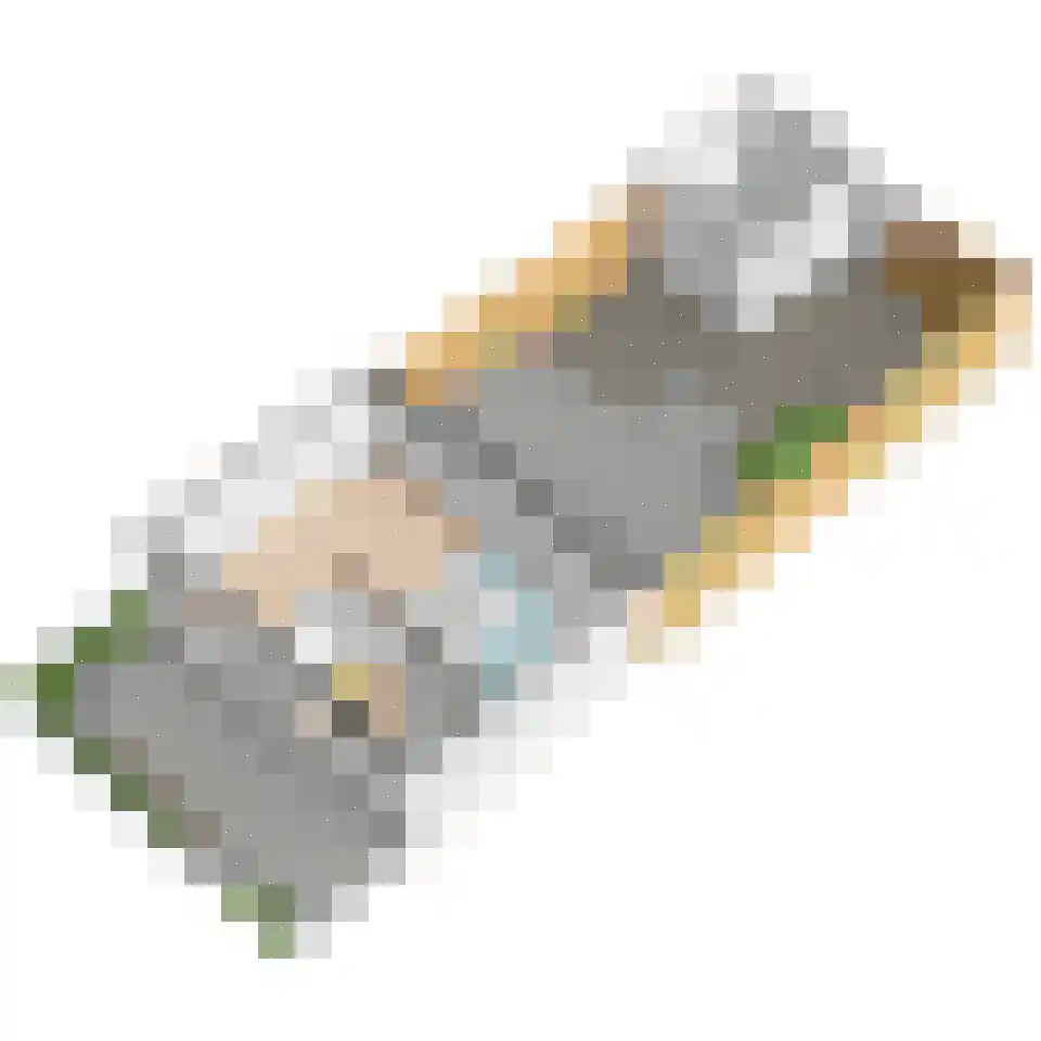 Huis te Veldelaan 49 Maasland thumbnail 45