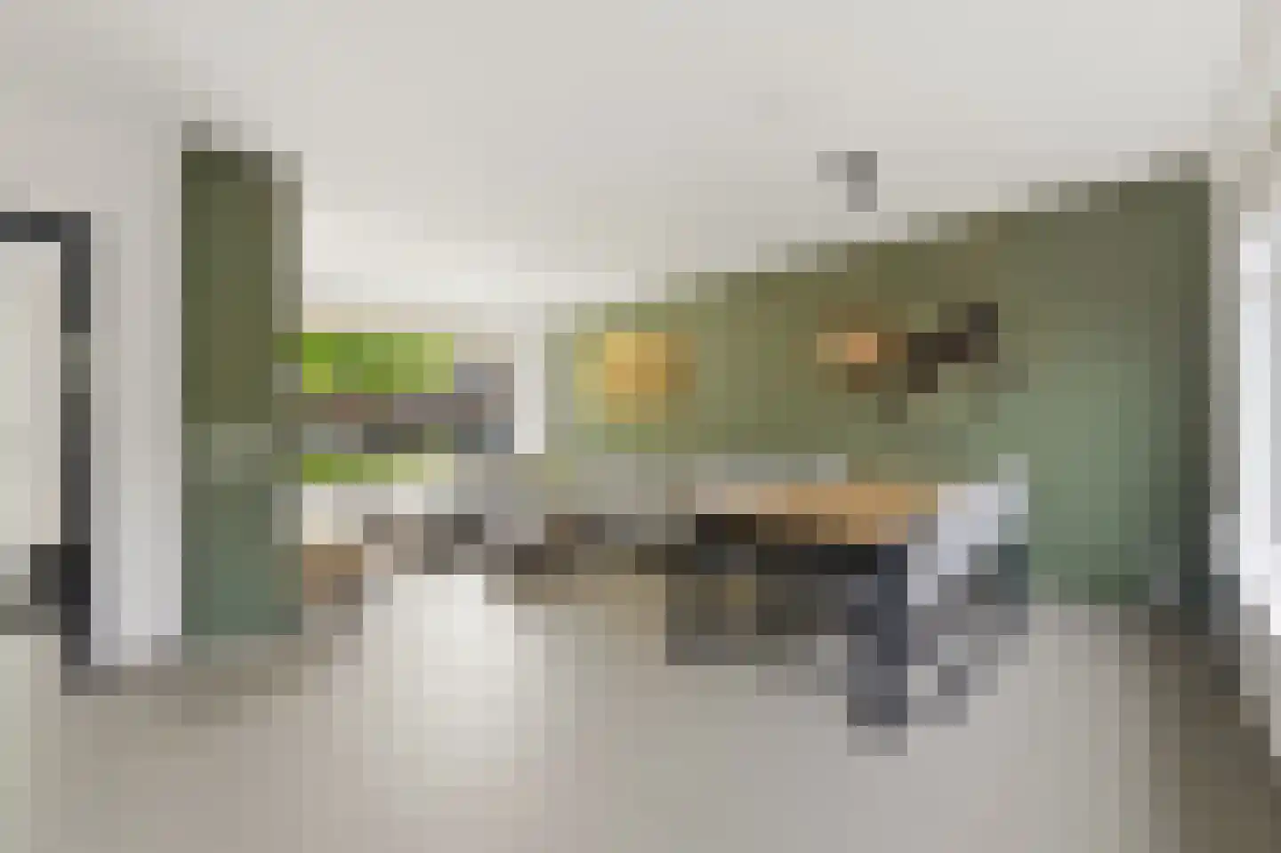 Huis te Veldelaan 49 Maasland thumbnail 5