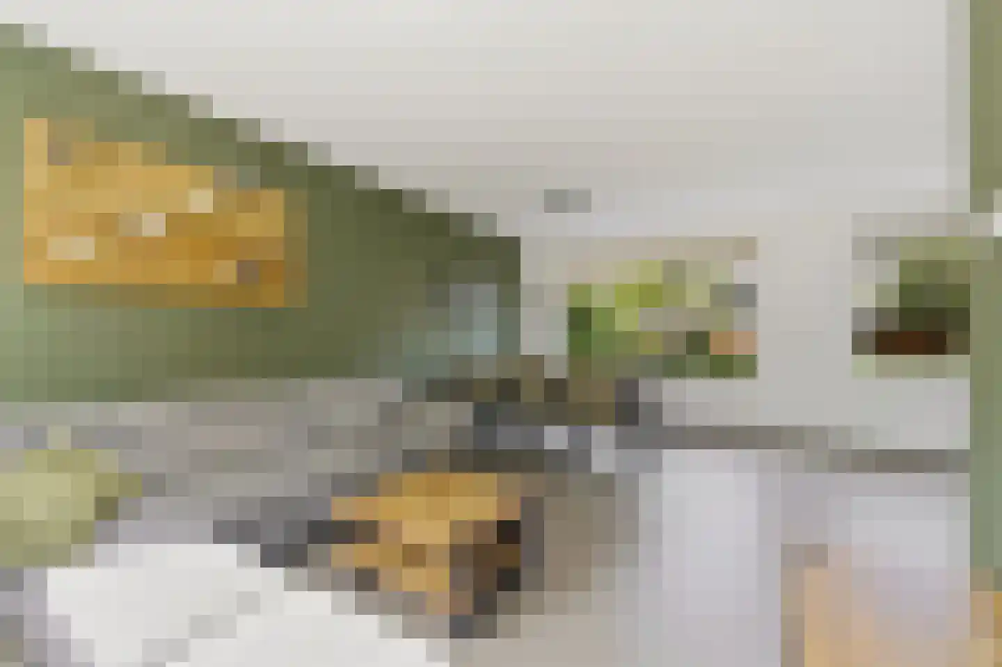 Huis te Veldelaan 49 Maasland thumbnail 6