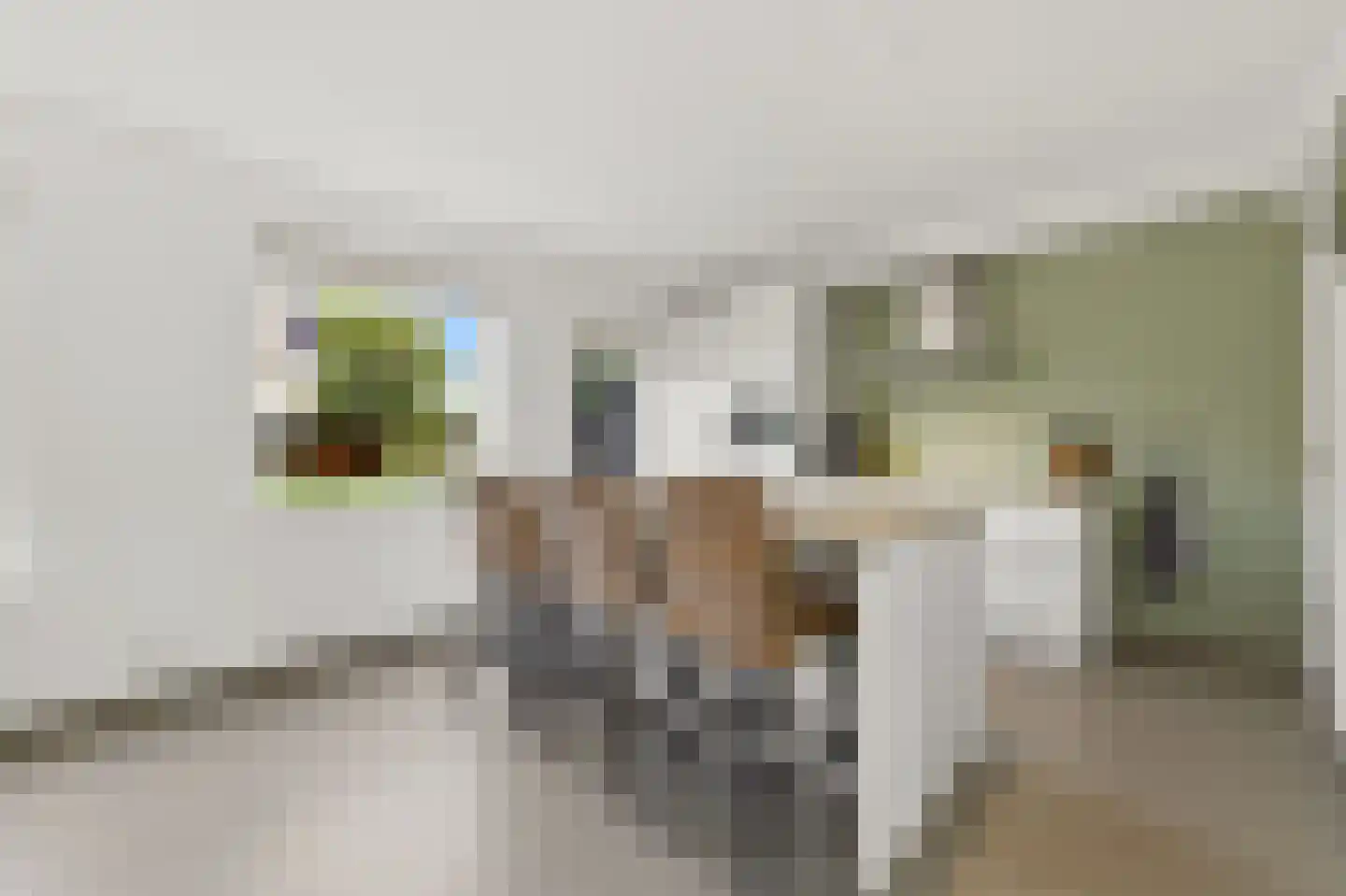 Huis te Veldelaan 49 Maasland thumbnail 9