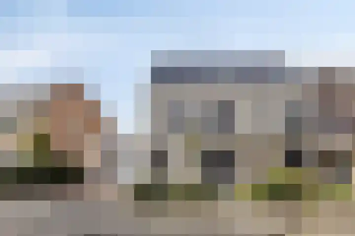 Huis te Veldelaan 65 Maasland