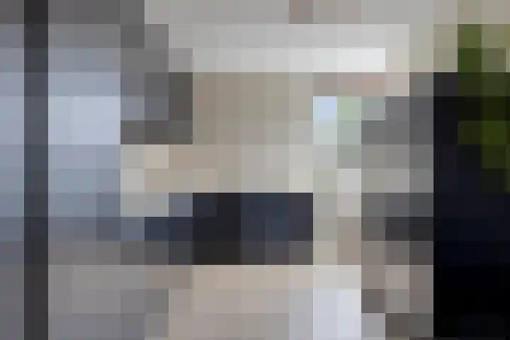 Huis te Veldelaan 65 Maasland thumbnail 12