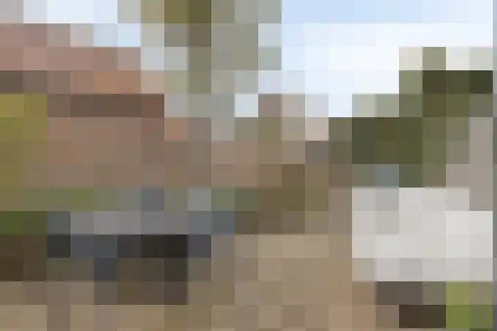 Huis te Veldelaan 65 Maasland thumbnail 16