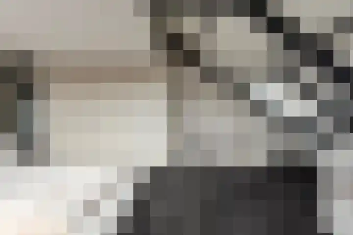 Huis te Veldelaan 65 Maasland thumbnail 32