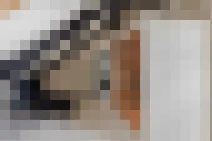 Huis te Veldelaan 65 Maasland thumbnail 34