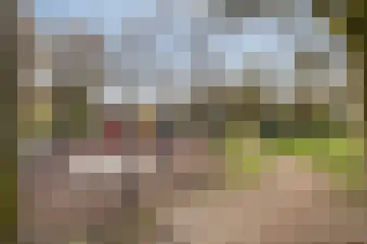 Huis te Veldelaan 65 Maasland thumbnail 38