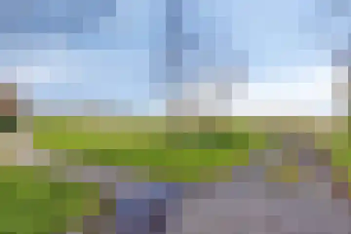 Huis te Veldelaan 65 Maasland thumbnail 41