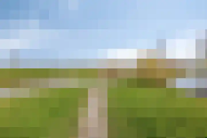 Huis te Veldelaan 65 Maasland thumbnail 42