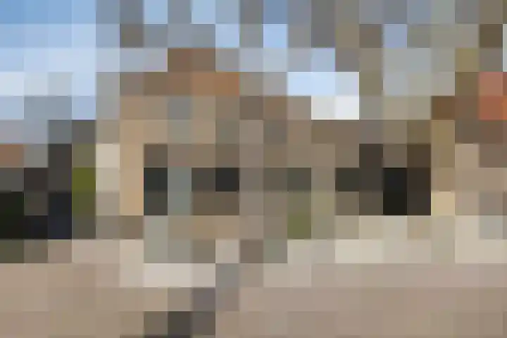 Huis te Veldelaan 65 Maasland thumbnail 43