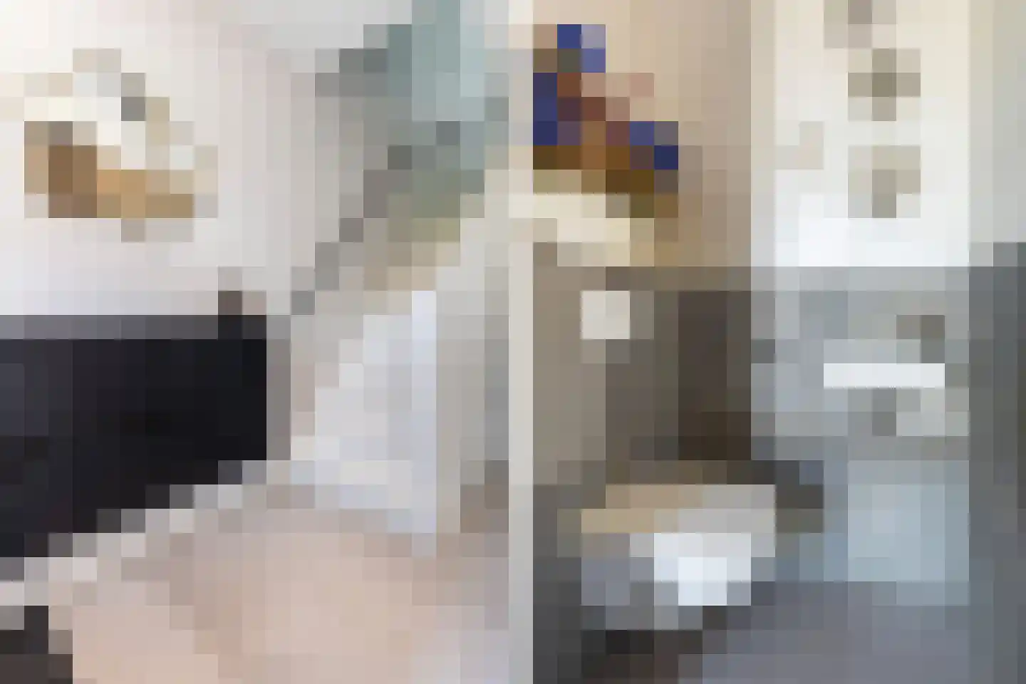 Huis te Vliethof 14 Lopikerkapel thumbnail 10