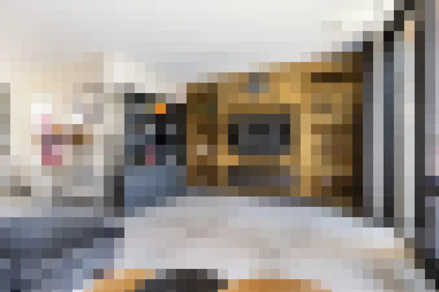 Huis te Vliethof 14 Lopikerkapel thumbnail 13