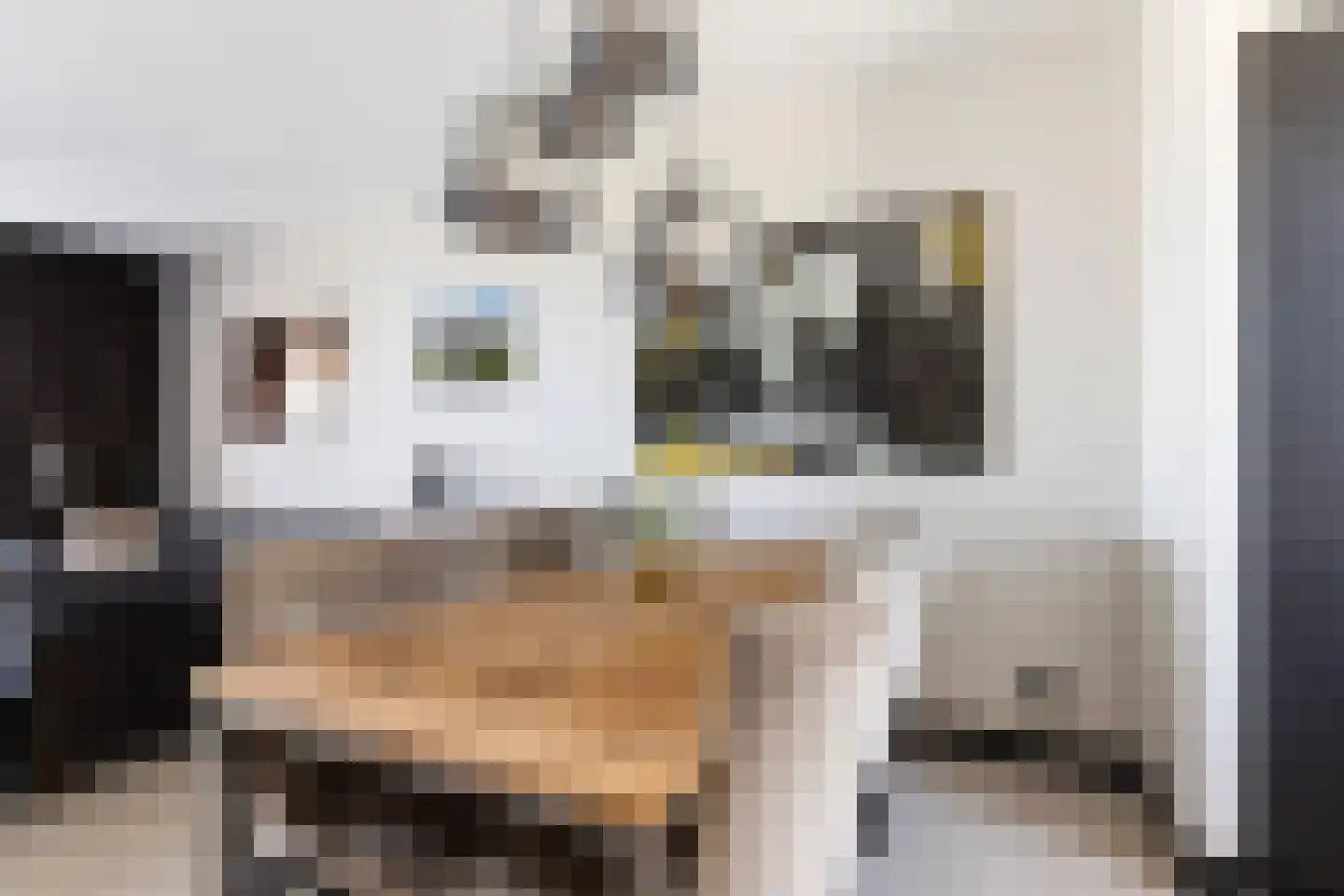 Huis te Vliethof 14 Lopikerkapel thumbnail 15