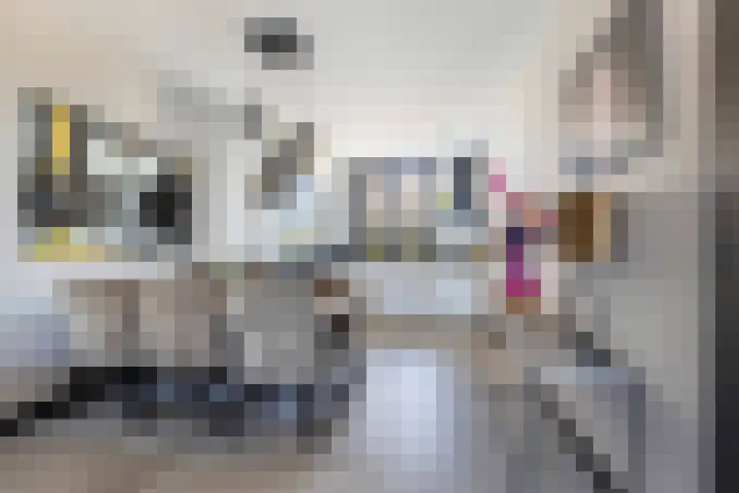 Huis te Vliethof 14 Lopikerkapel thumbnail 16