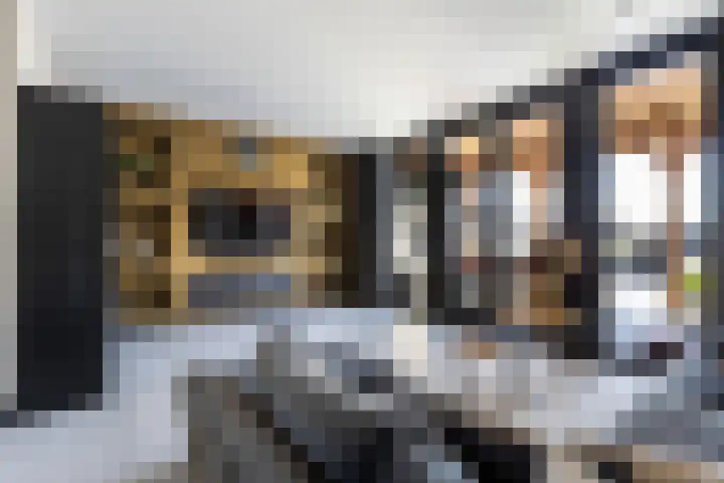 Huis te Vliethof 14 Lopikerkapel foto 2