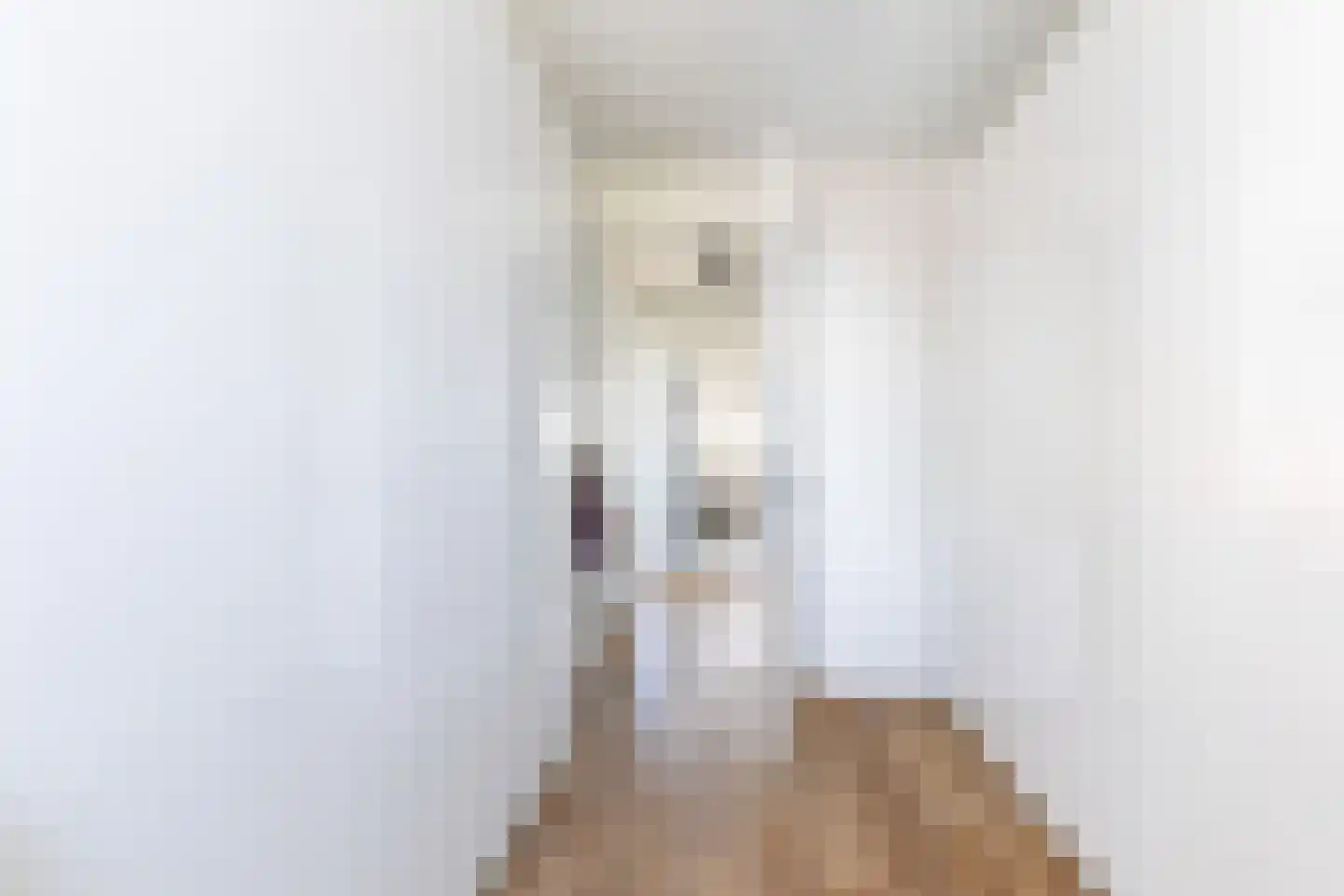 Huis te Vliethof 14 Lopikerkapel thumbnail 25
