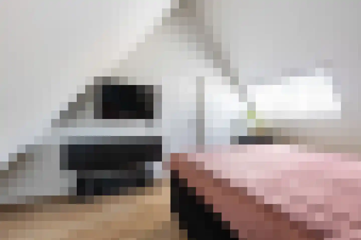 Huis te Vliethof 14 Lopikerkapel thumbnail 29