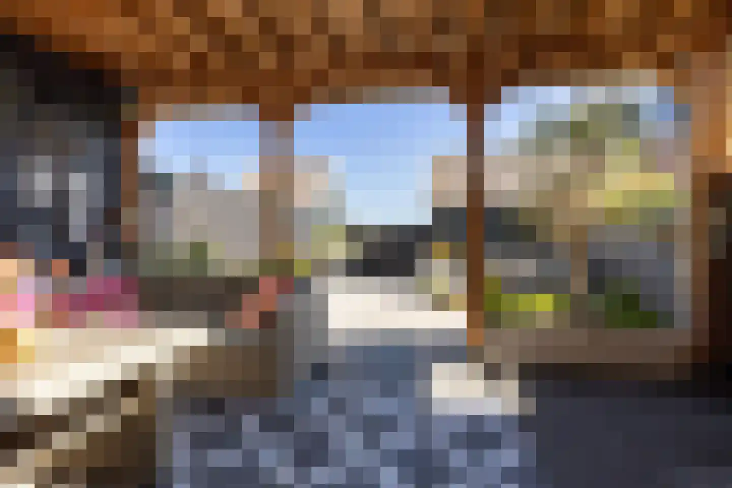 Huis te Vliethof 14 Lopikerkapel thumbnail 31