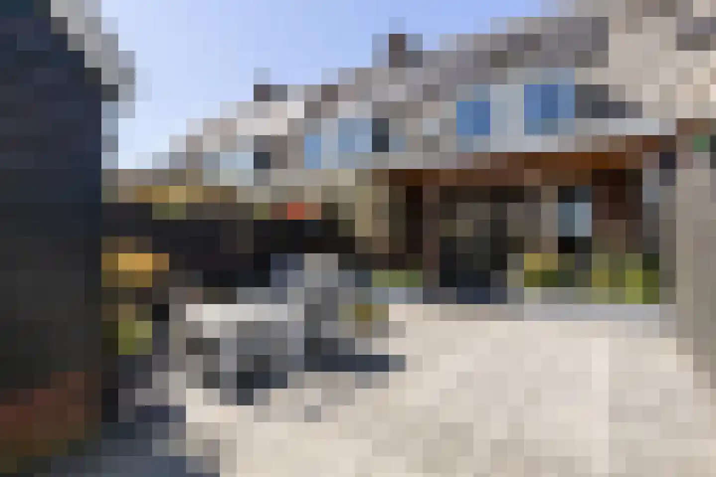 Huis te Vliethof 14 Lopikerkapel thumbnail 33