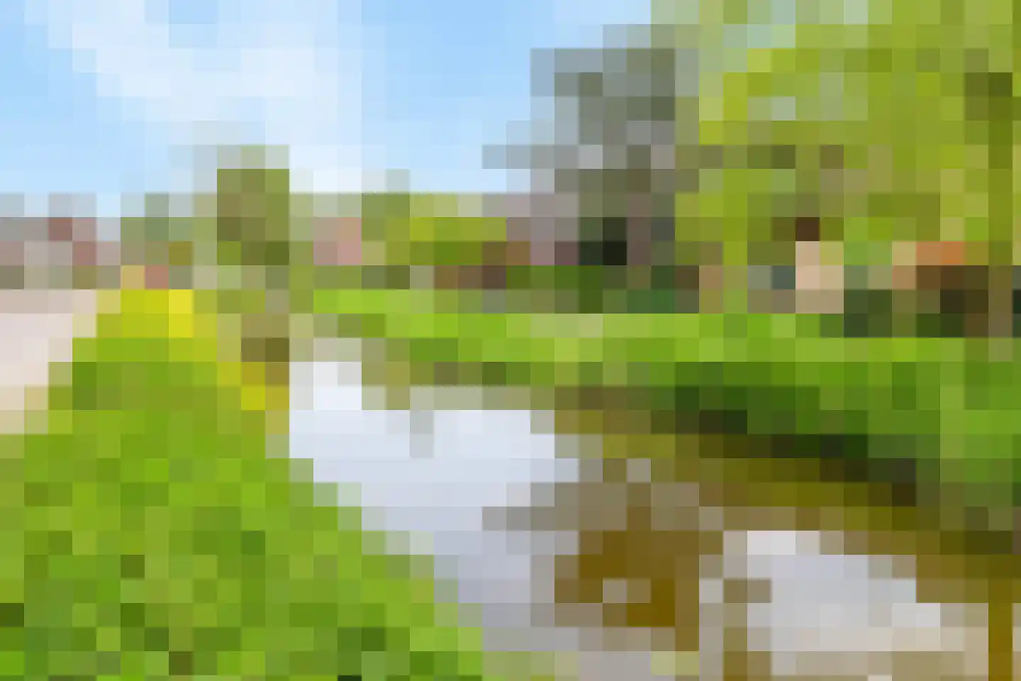Huis te Vliethof 14 Lopikerkapel thumbnail 38