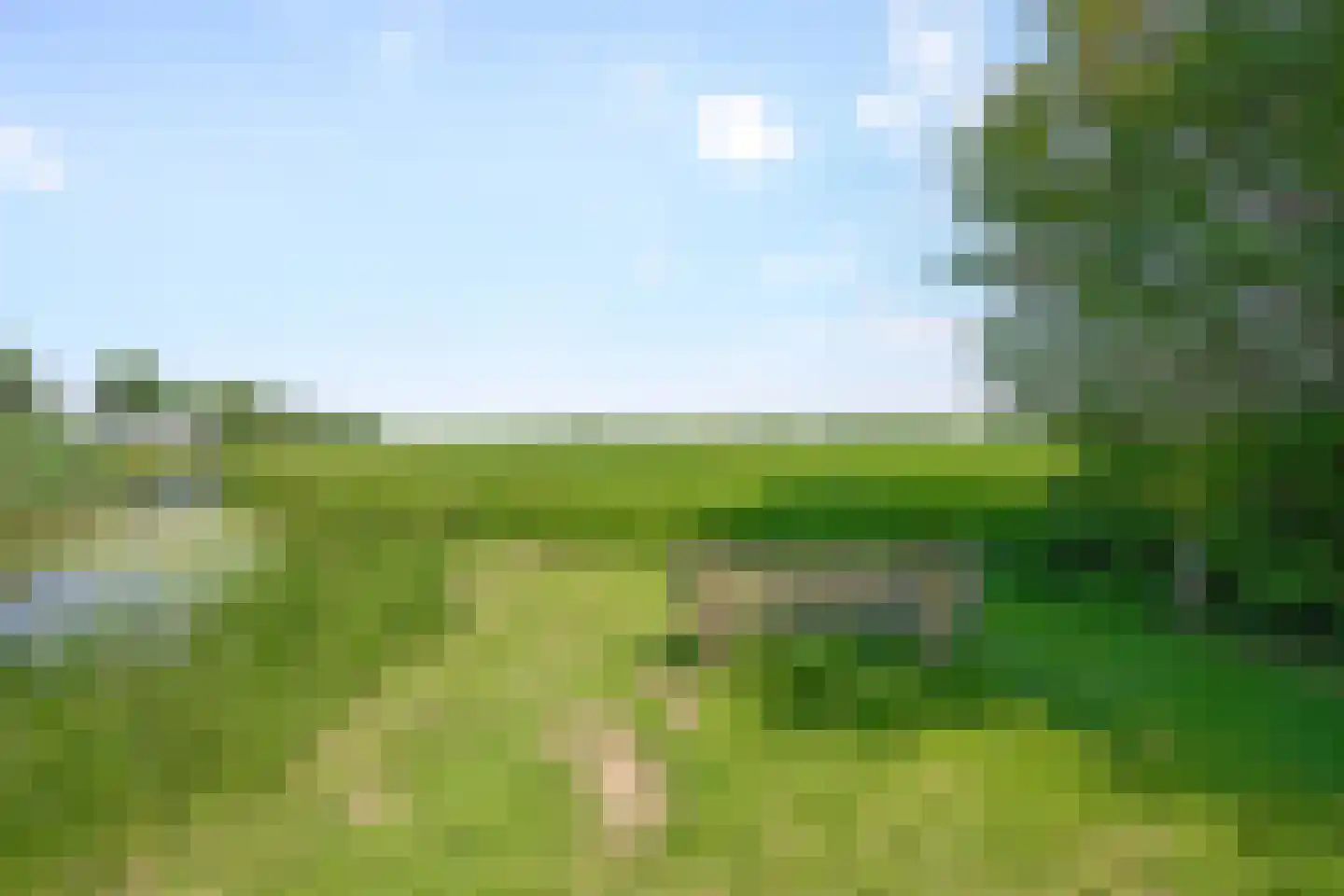 Huis te Vliethof 14 Lopikerkapel thumbnail 39