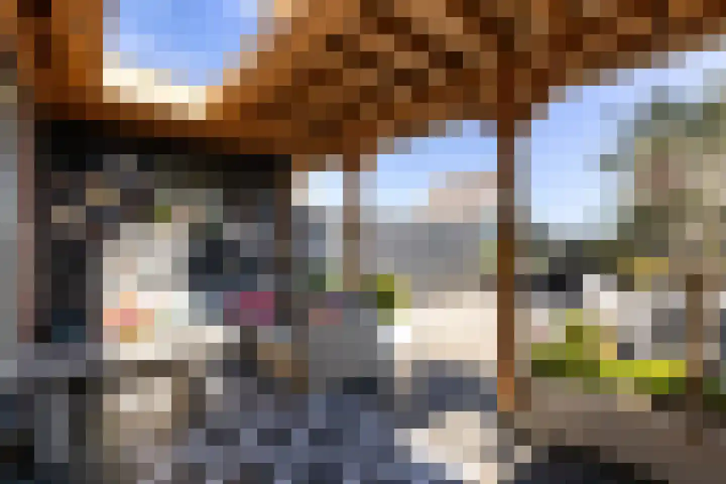 Huis te Vliethof 14 Lopikerkapel thumbnail 5