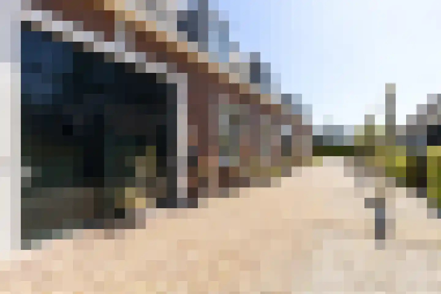 Huis te Vliethof 14 Lopikerkapel thumbnail 8