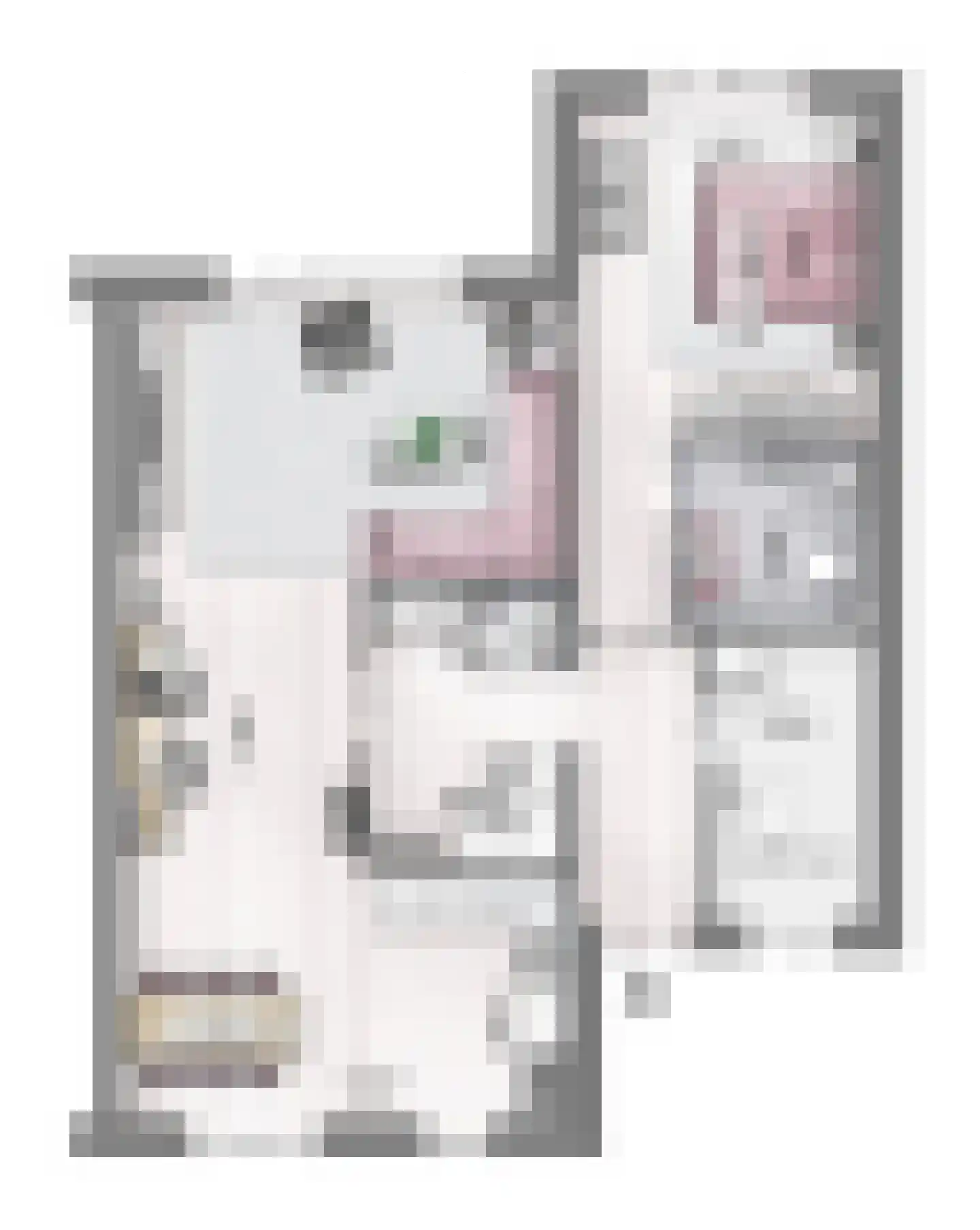 Huis te Vliethof 18 Lopikerkapel foto 3