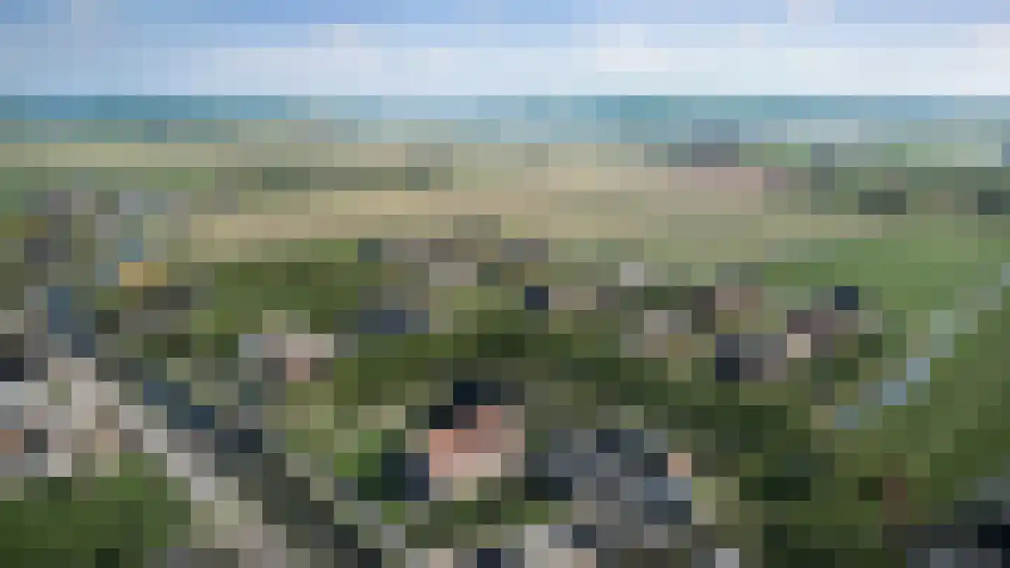 Huis te Vliethof 20 Lopikerkapel thumbnail 4