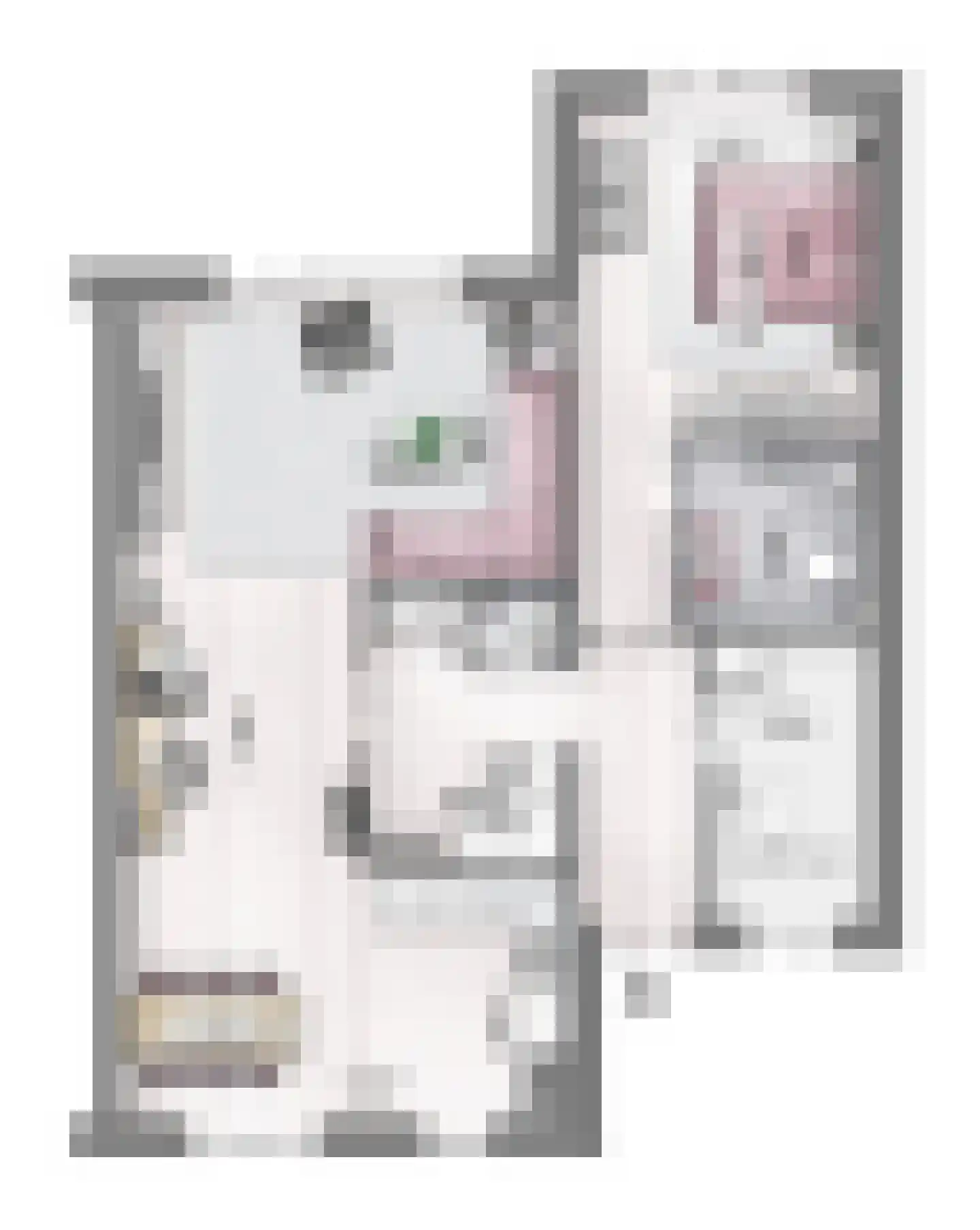 Huis te Vliethof 20 Lopikerkapel thumbnail 5