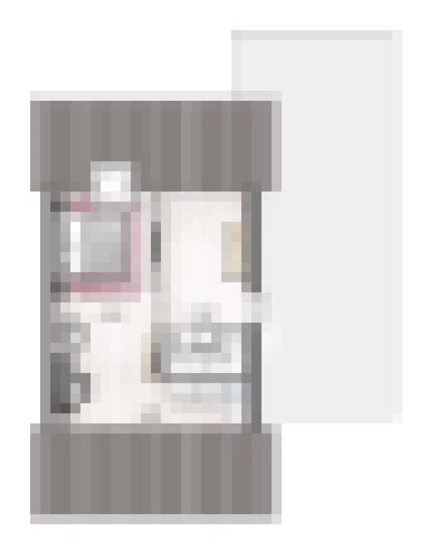 Huis te Vliethof 20 Lopikerkapel thumbnail 6