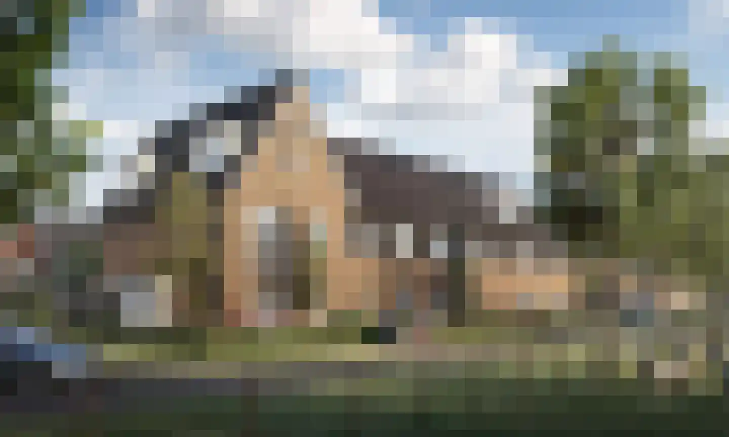 Huis te Vliethof 22 Lopikerkapel