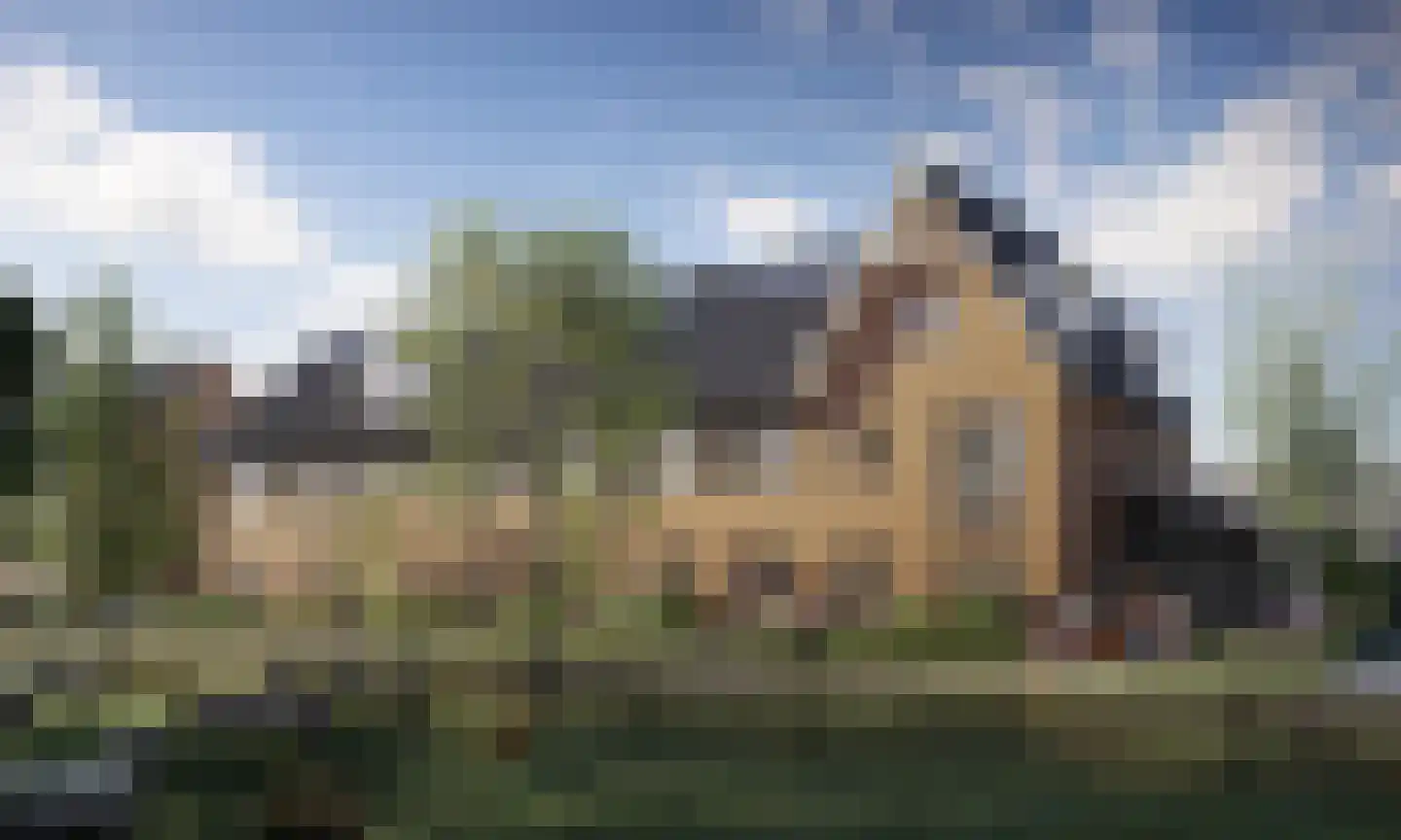Huis te Vliethof 22 Lopikerkapel foto 2