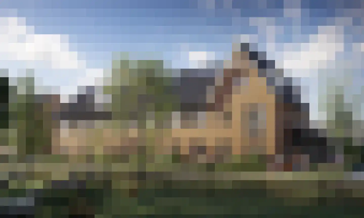 Huis te Vliethof 24 Lopikerkapel foto 2