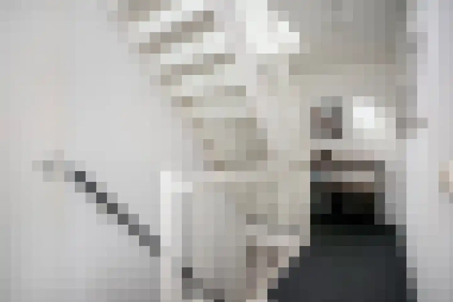 Huis te Vlietlaan 12 Utrecht thumbnail 26