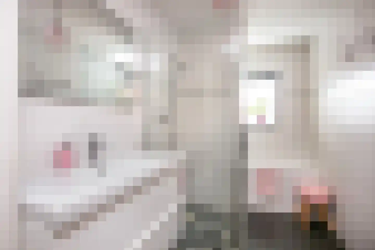 Huis te Vlietlaan 12 Utrecht thumbnail 29