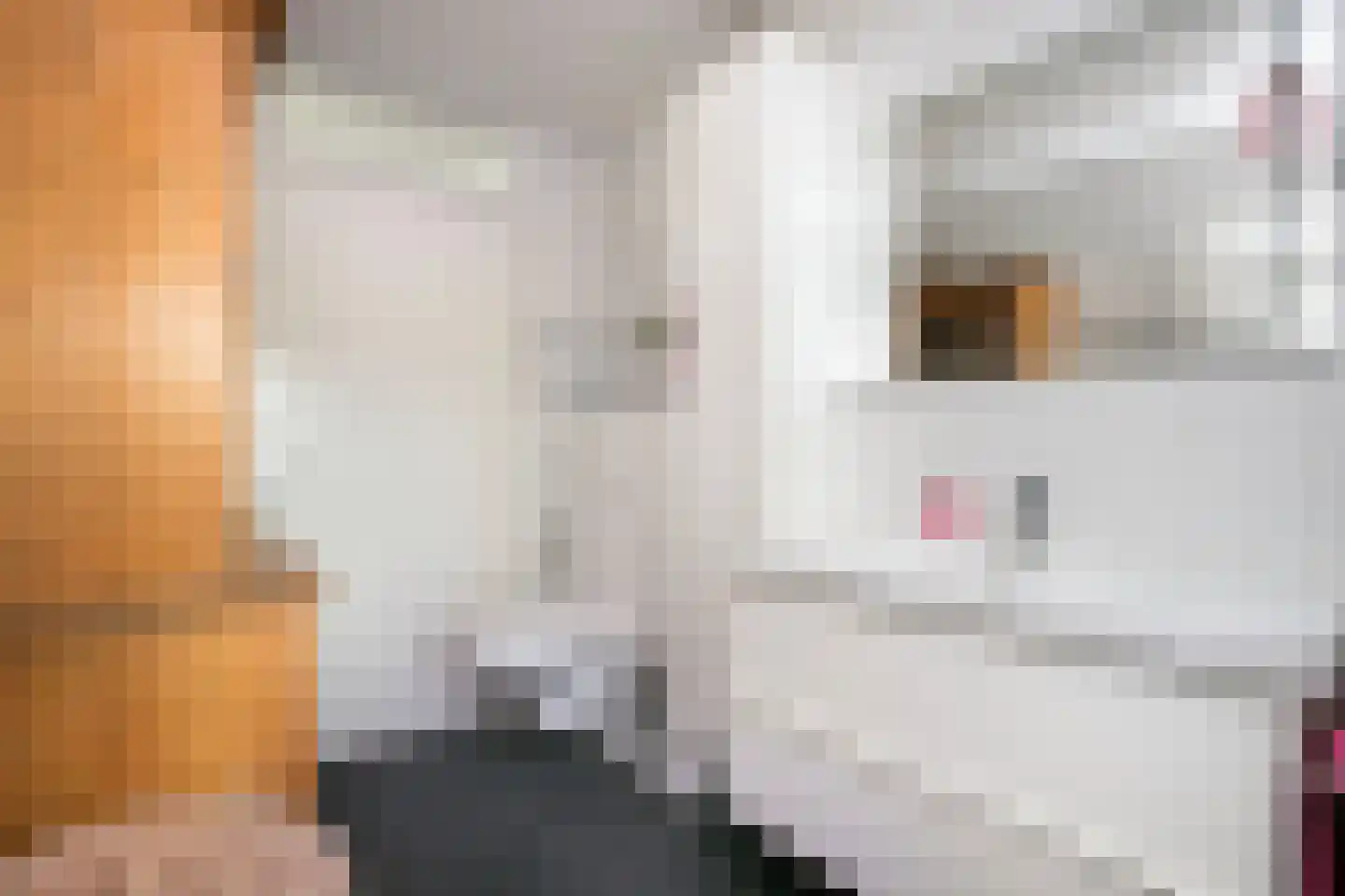Huis te Vlietlaan 12 Utrecht thumbnail 30